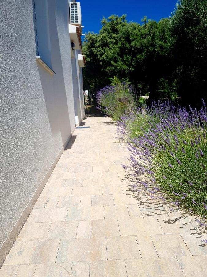 Lavender House Villa Mandre Eksteriør billede